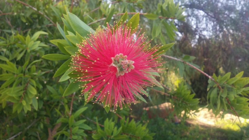 El Manantial B&B El Higueron Εξωτερικό φωτογραφία
